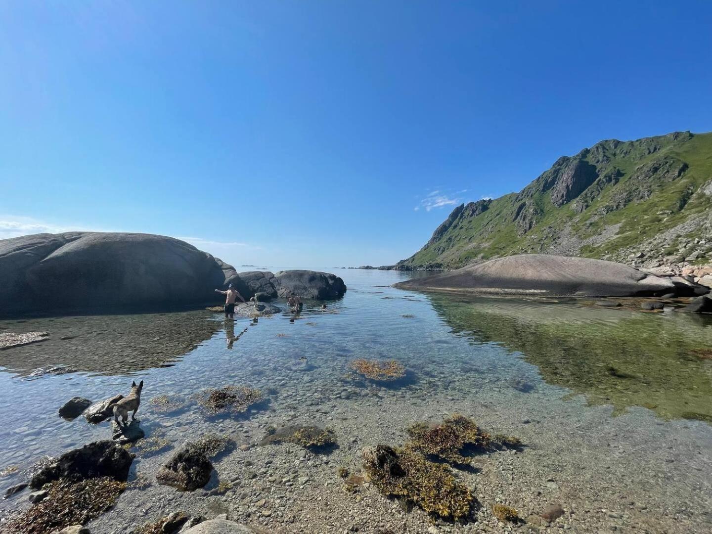 Lofoten seaview Ballstad Eksteriør bilde